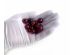 Cherry Refracted Amber Beads 500gr